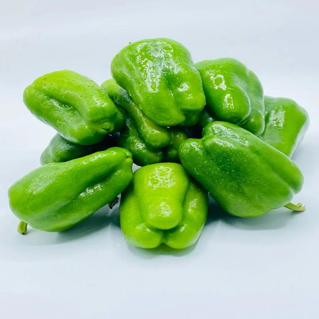 فلفل بارد رومي
